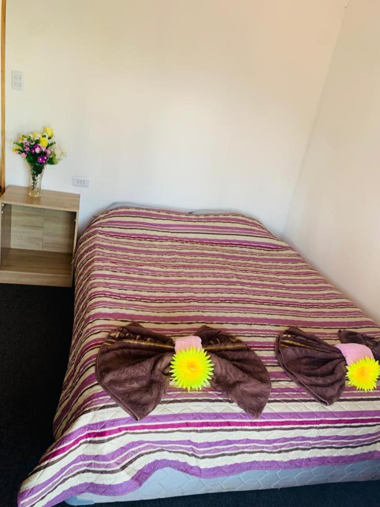 Pua Vaenga Hostel Hanga Roa Buitenkant foto