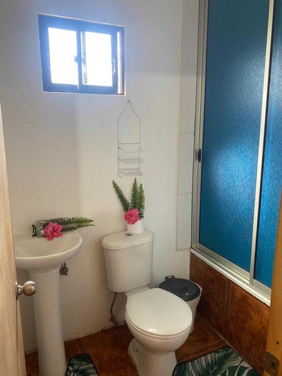 Pua Vaenga Hostel Hanga Roa Buitenkant foto